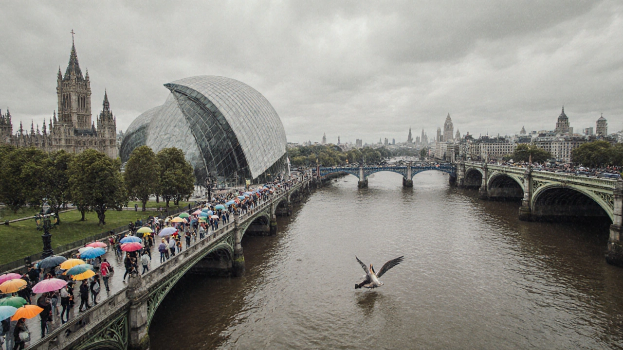 Rainy London South Bank with tourists under umbrellas and pelican on Thames