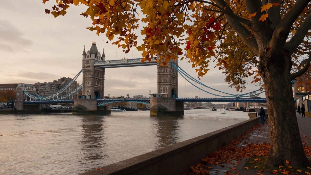 Thames River view with autumn leaves on trees during golden hour near iconic London bridge