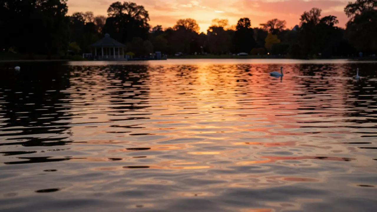 Sunset reflections on Serpentine Lake in Hyde Park with swans gliding by
